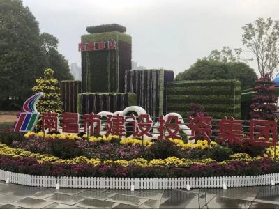 以菊为媒 以花为介 展现效劳都会与生长之宗旨——市必发bifa集团参展南昌市第三十四届菊花展